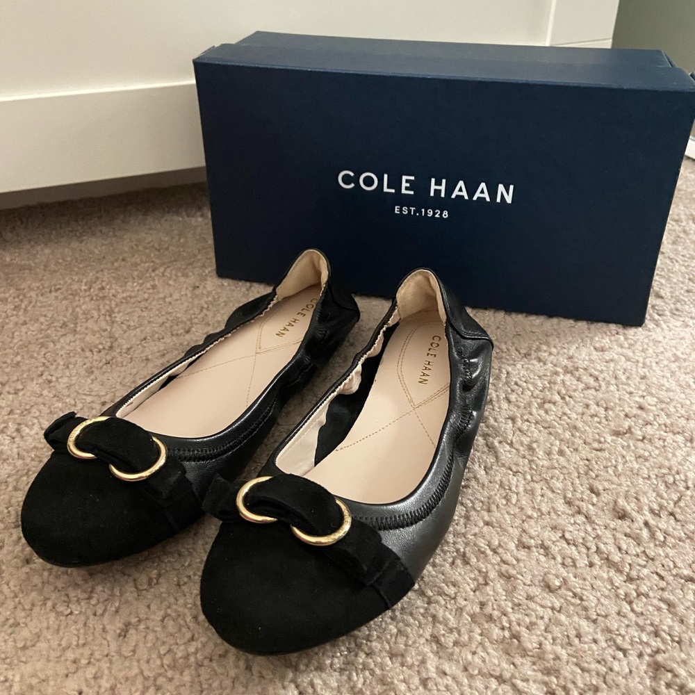 Cole Haan Esme Ballet Flats (leather, only worn once)
